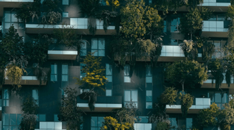 demo-attachment-2199-pexels-francesco-ungaro-4322027